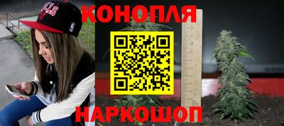 jwh Можга