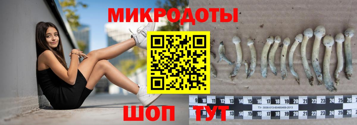 Псилоцибиновые грибы Cubensis Уссурийск